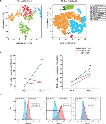 A Combination of Cytokine-Induced Killer Cells With PD-1 Blockade and ALK Inhibitor Showed Substantial Intrinsic Variability Across Non-Small Cell Lung Cancer Cell Lines